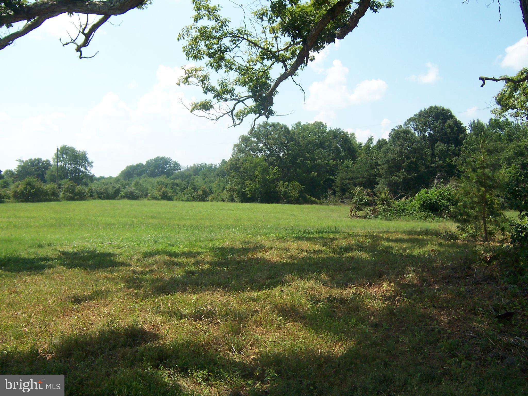 10083 Clarkes Road Midland, VA 22728 - Photo 21 of 22 Your Mini Farm