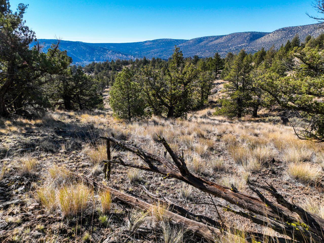 10081 Pavati Road, Unit LOT 35 Prineville, OR 97754 - Photo 22 of 23 photos_web_resolution_DJI_0989