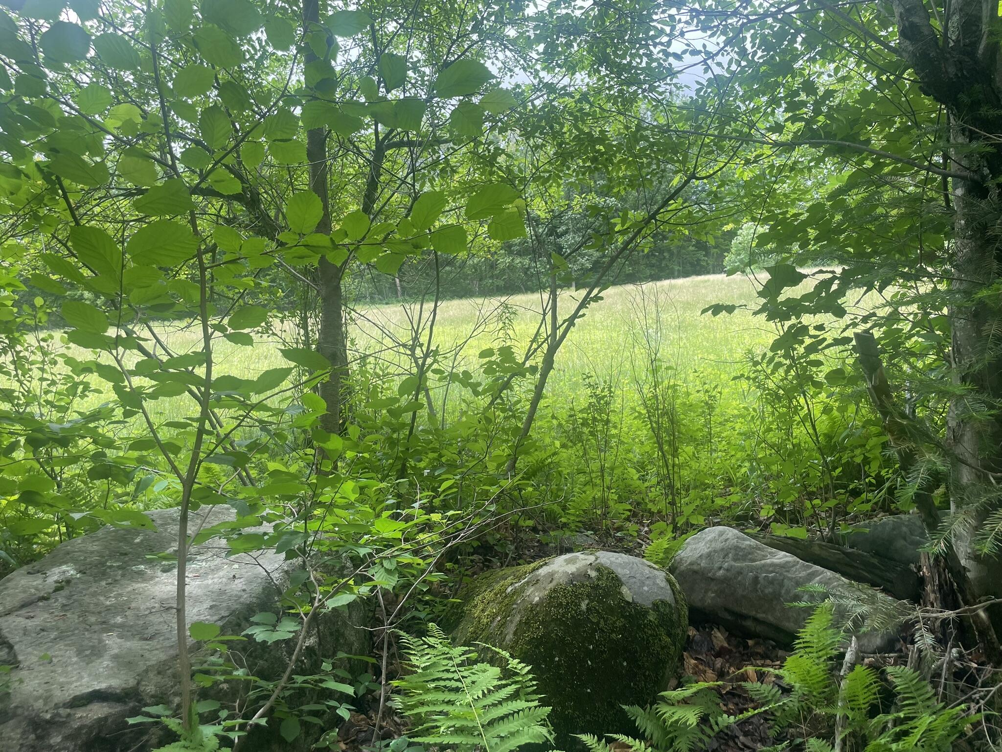 1075 Hill Road Clinton, ME 04927 - Photo 120 of 172 IMG_6218