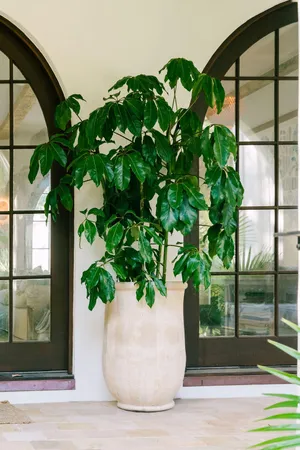 $25,000 | 1710 Atlantic Avenue, Sullivans Island, SC 29482