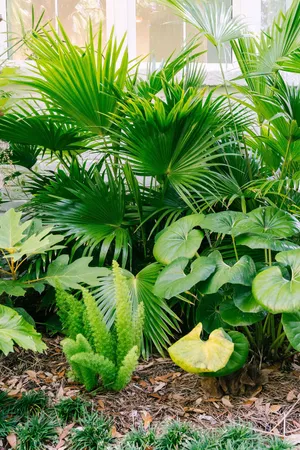 $25,000 | 1710 Atlantic Avenue, Sullivans Island, SC 29482