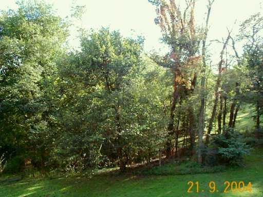 450 Christy Road Eighty Four, PA 15330 - Photo 7 of 8 Gallery Image 7