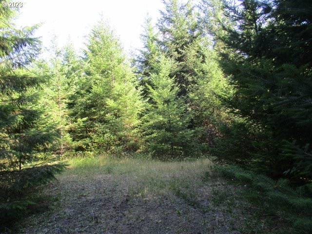 0 Northwest High Heaven Road McMinnville, OR 97128 - Photo 1 of 22