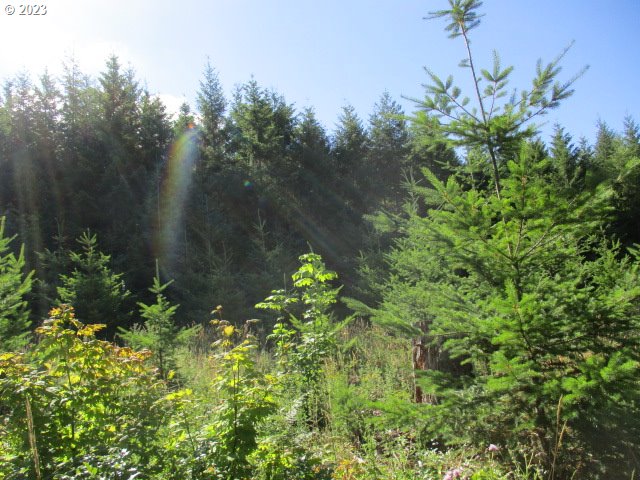 0 Northwest High Heaven Road McMinnville, OR 97128 - Photo 12 of 22