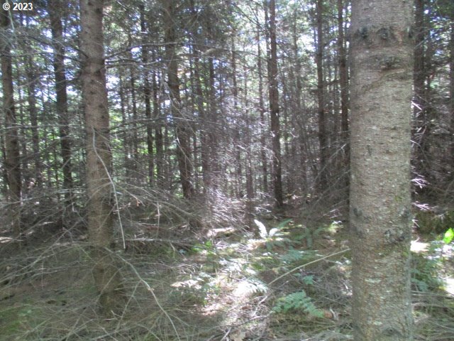 0 Northwest High Heaven Road McMinnville, OR 97128 - Photo 13 of 22