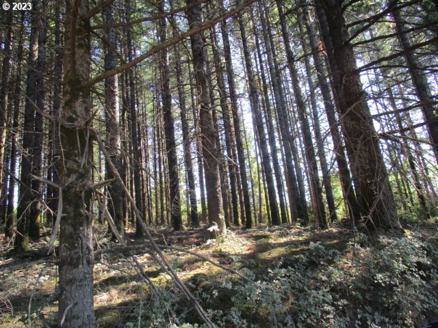 0 Northwest High Heaven Road McMinnville, OR 97128 - Photo 14 of 22