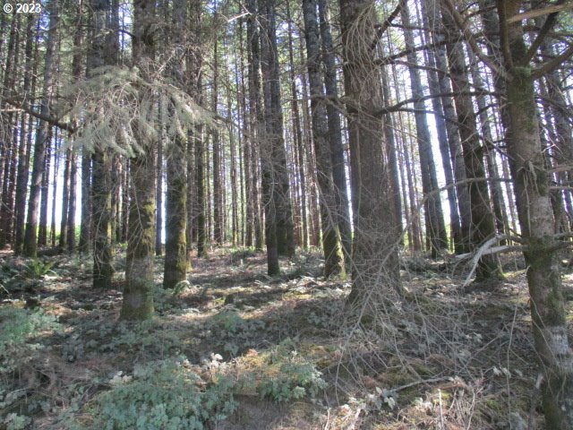 0 Northwest High Heaven Road McMinnville, OR 97128 - Photo 15 of 22