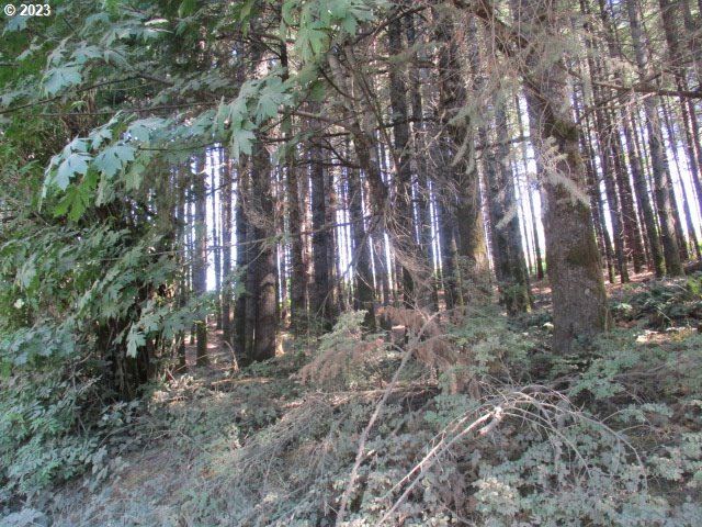 0 Northwest High Heaven Road McMinnville, OR 97128 - Photo 16 of 22