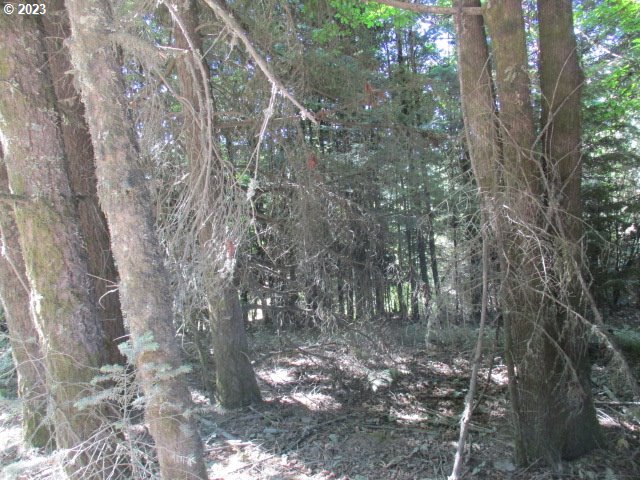 0 Northwest High Heaven Road McMinnville, OR 97128 - Photo 17 of 22