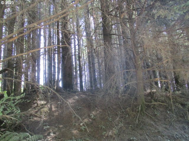 0 Northwest High Heaven Road McMinnville, OR 97128 - Photo 18 of 22