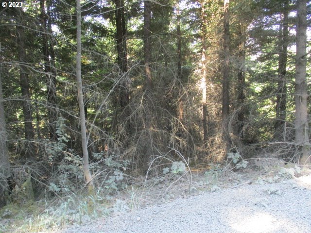 0 Northwest High Heaven Road McMinnville, OR 97128 - Photo 19 of 22