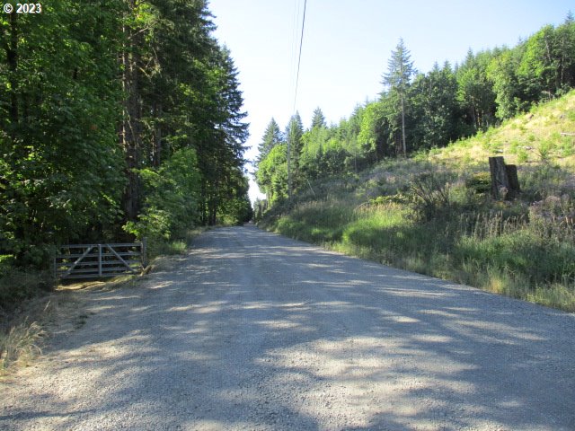 0 Northwest High Heaven Road McMinnville, OR 97128 - Photo 2 of 22