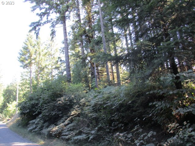 0 Northwest High Heaven Road McMinnville, OR 97128 - Photo 21 of 22