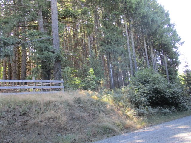 0 Northwest High Heaven Road McMinnville, OR 97128 - Photo 22 of 22