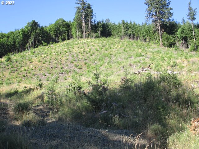 0 Northwest High Heaven Road McMinnville, OR 97128 - Photo 3 of 22