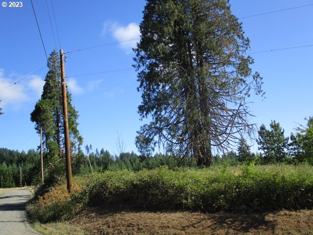 0 Northwest High Heaven Road McMinnville, OR 97128 - Photo 4 of 22