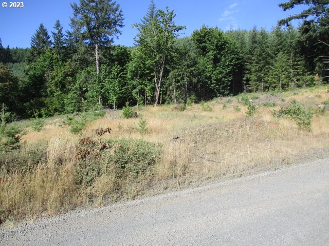 0 Northwest High Heaven Road McMinnville, OR 97128 - Photo 7 of 22