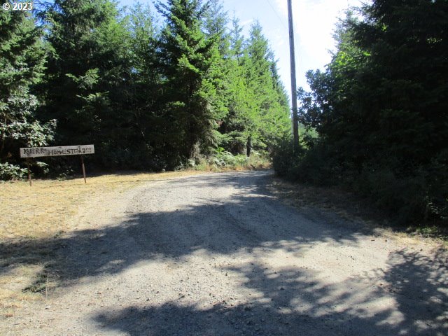 0 Northwest High Heaven Road McMinnville, OR 97128 - Photo 8 of 22