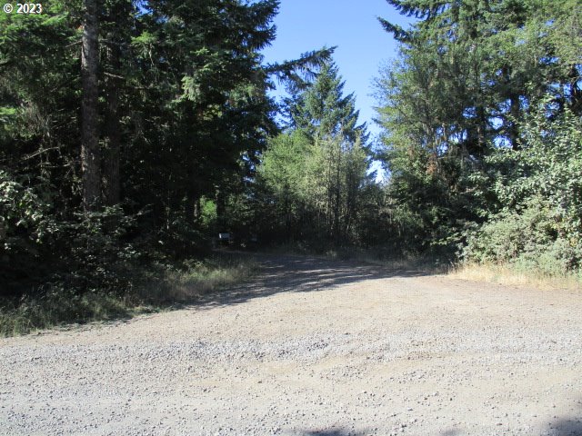 0 Northwest High Heaven Road McMinnville, OR 97128 - Photo 9 of 22