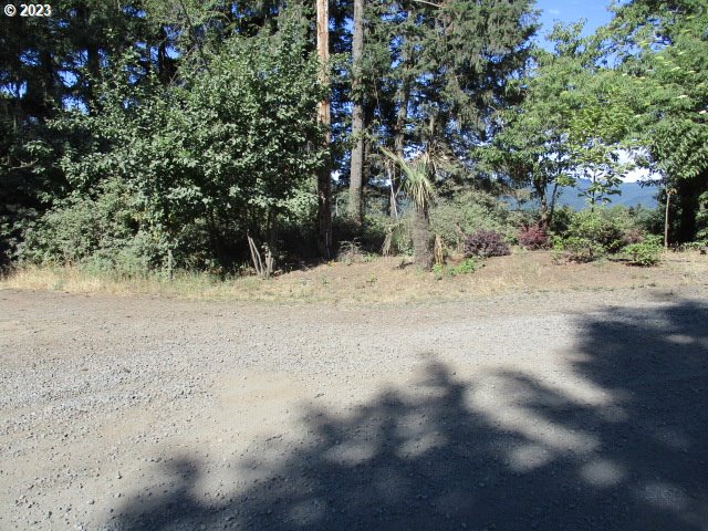 0 Northwest High Heaven Road McMinnville, OR 97128 - Photo 10 of 22
