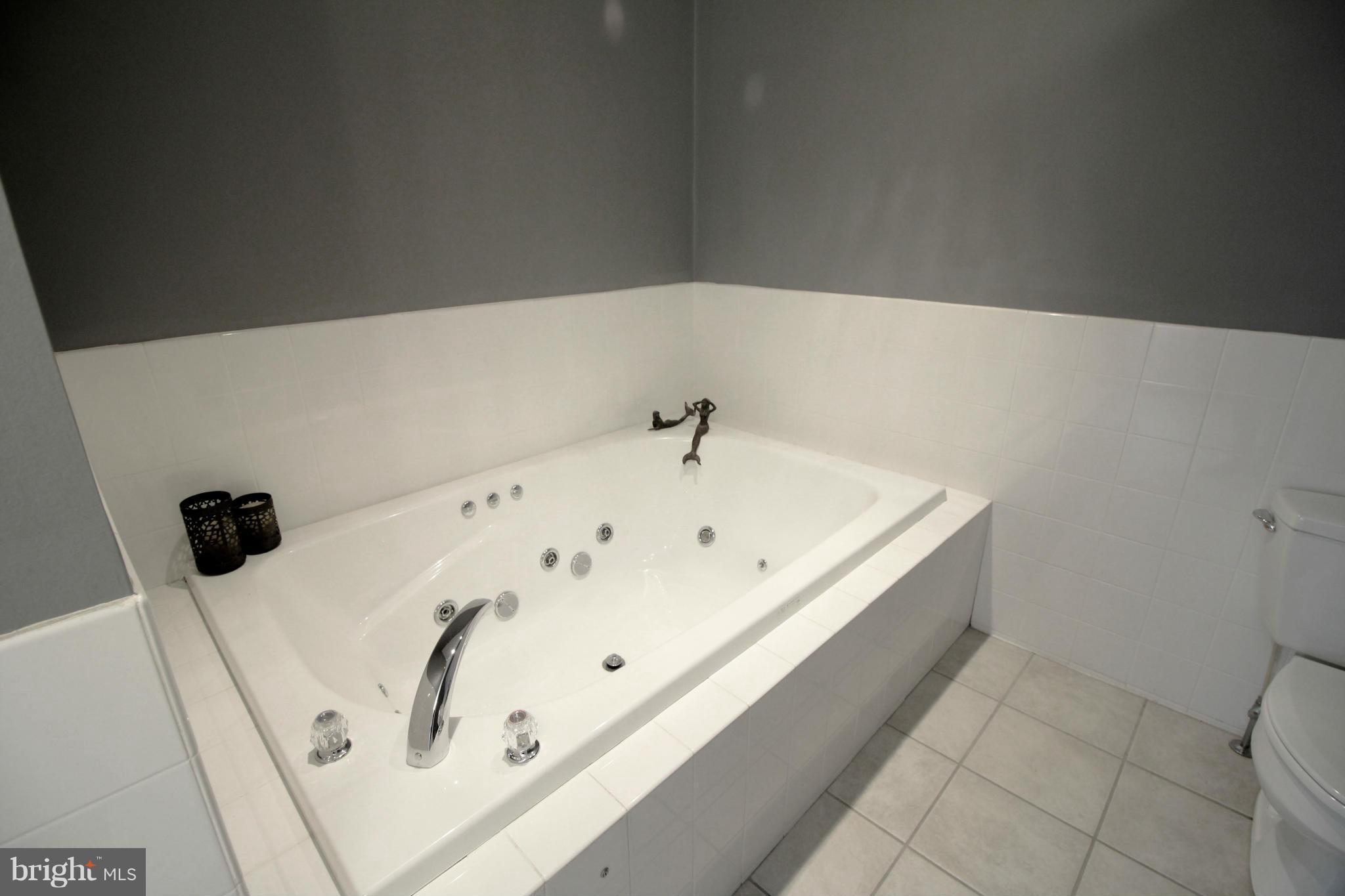 48 Tower Point Road Chesapeake City, MD 21915 - Photo 10 of 22 Bath (Master)