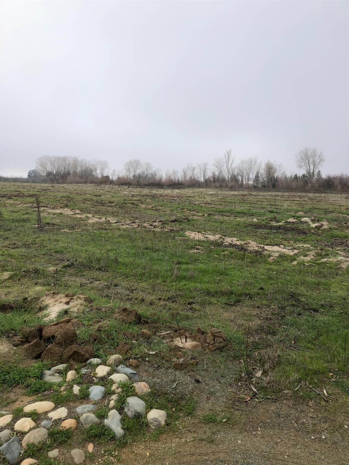 7716 Messick Road Marysville, CA 95901 - Photo 1 of 5