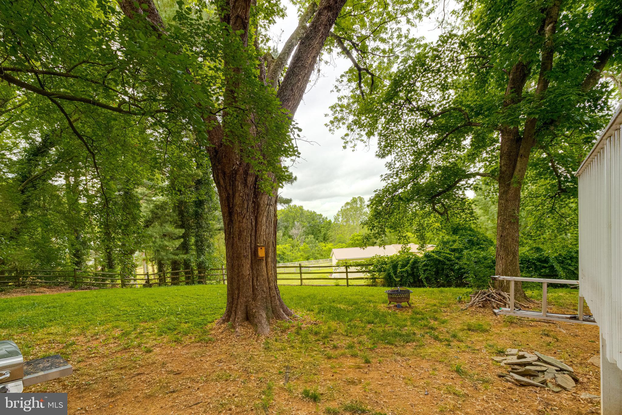 590 Love Run Road Colora, MD 21917 - Photo 44 of 45