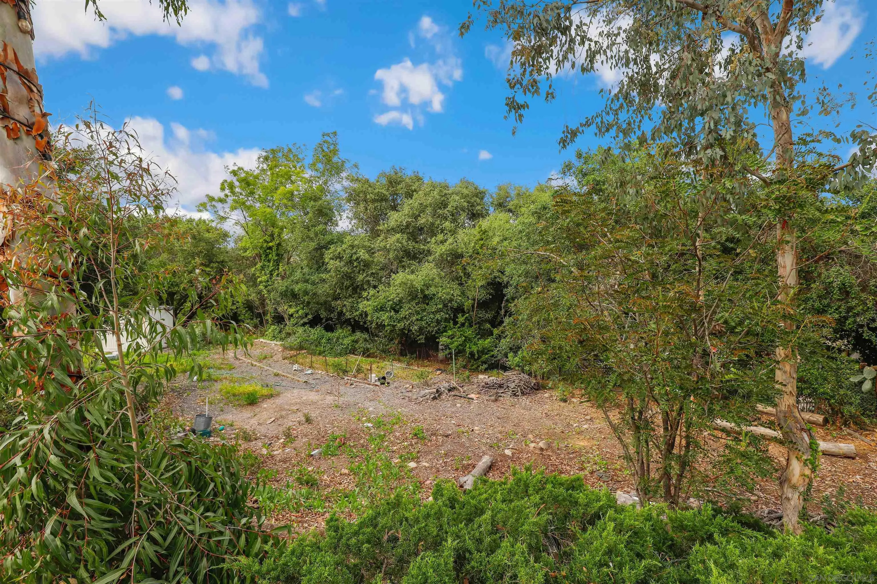 12256 Old Stone Road Poway, CA 92064 - Photo 26 of 31 a view of a yard with a tree