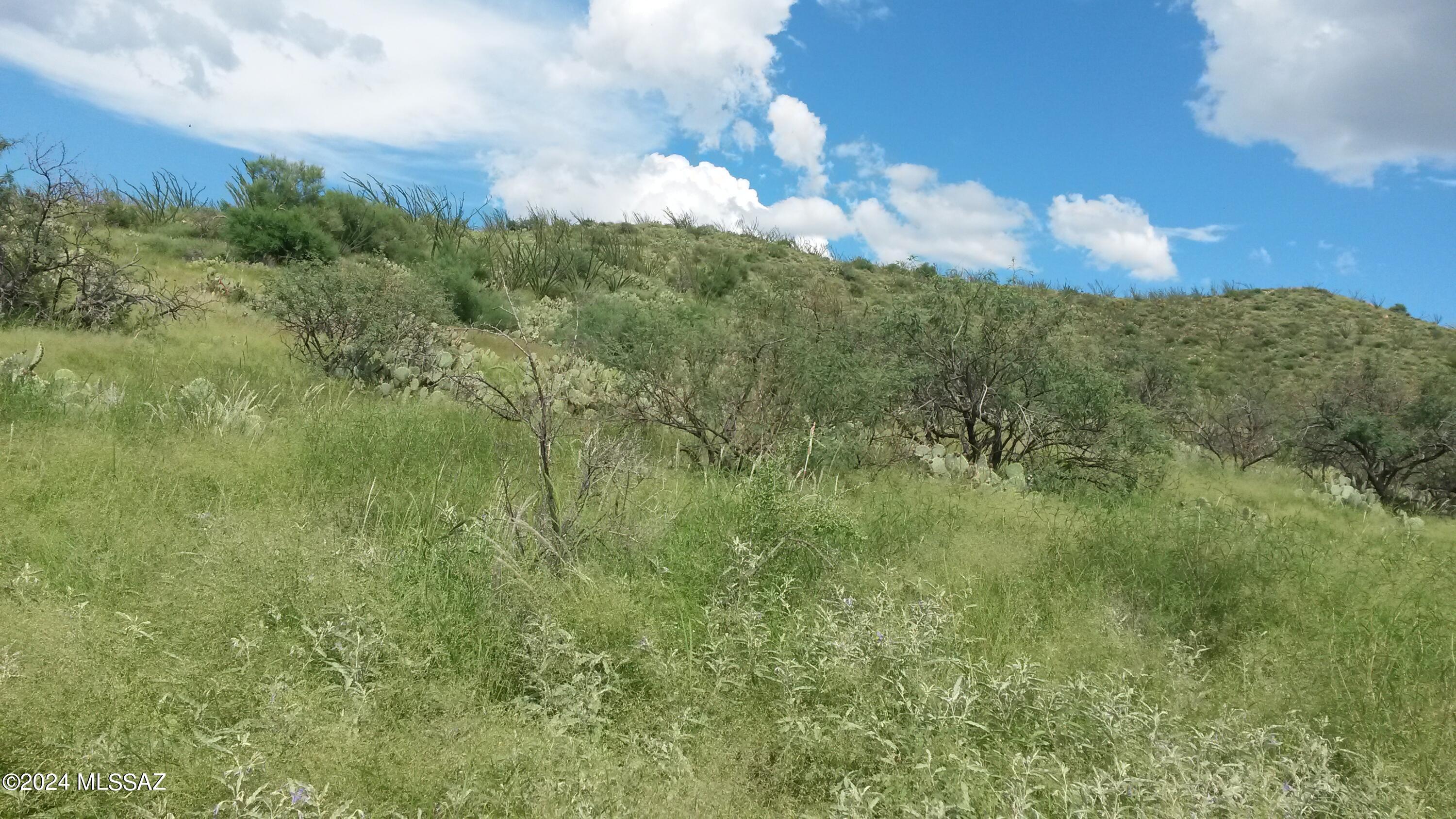 South Goodenough Trail Vail, AZ 85641 - Photo 2 of 13
