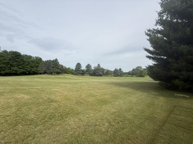 10464 Hankerd Road Pleasant Lake, MI 49272 - Photo 27 of 28 IMG_2270