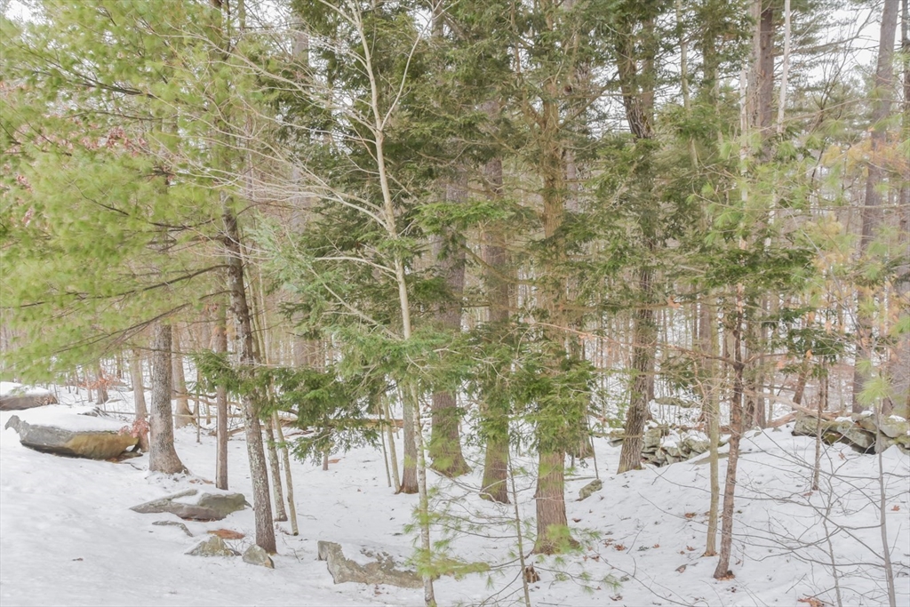 46 Hadleigh Road, Unit 46 Windham, NH 03087 - Photo 39 of 42