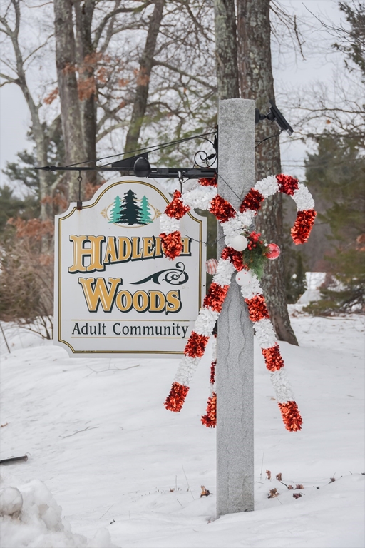 46 Hadleigh Road, Unit 46 Windham, NH 03087 - Photo 42 of 42