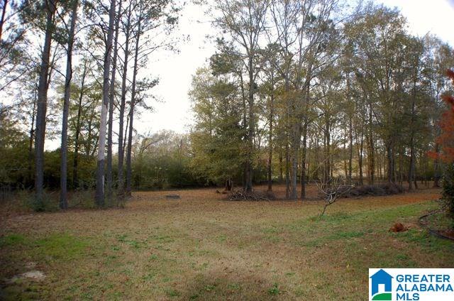 104 Copper Ridge Court Deatsville, AL 36022 - Photo 22 of 28