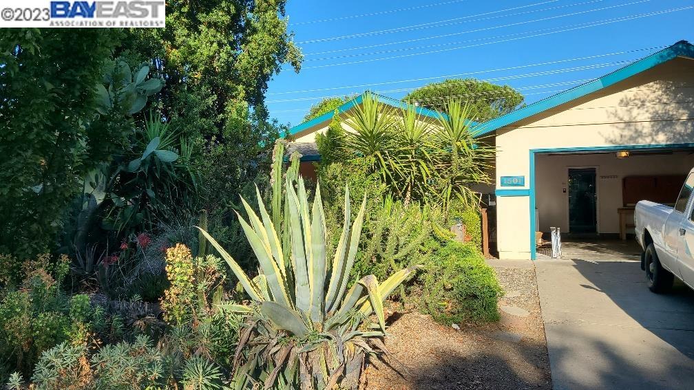 a view of a palm plant that is in front of a house
