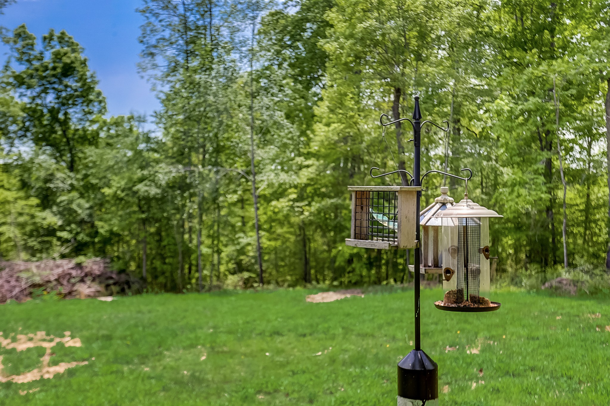 105 High Point Road Erin, TN 37061 - Photo 9 of 67 Gallery Image 9