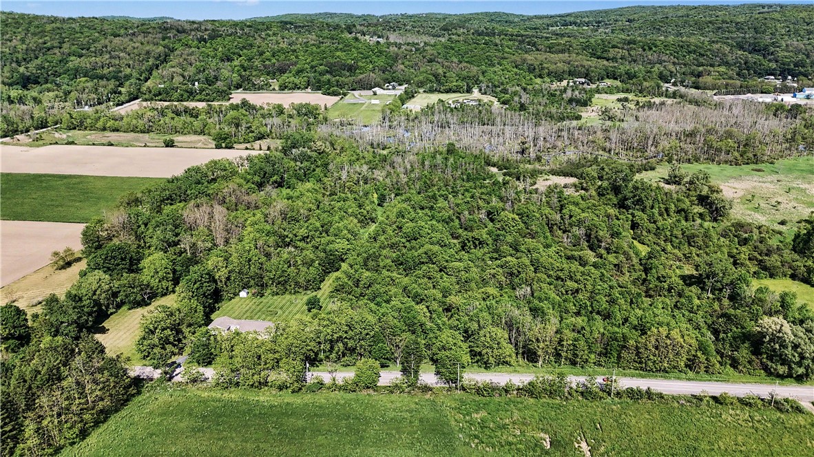 Case Road Canandaigua, NY 14424 - Photo 7 of 12