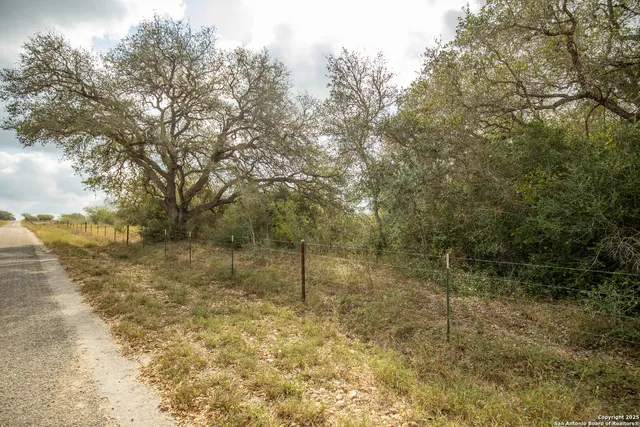 a view of a forest with a bench