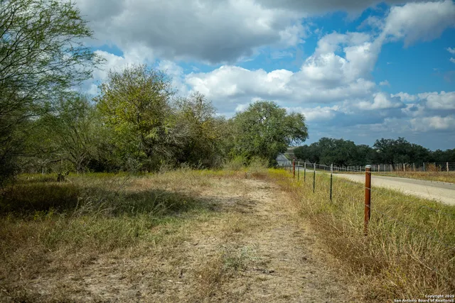 a view of a yard with an trees