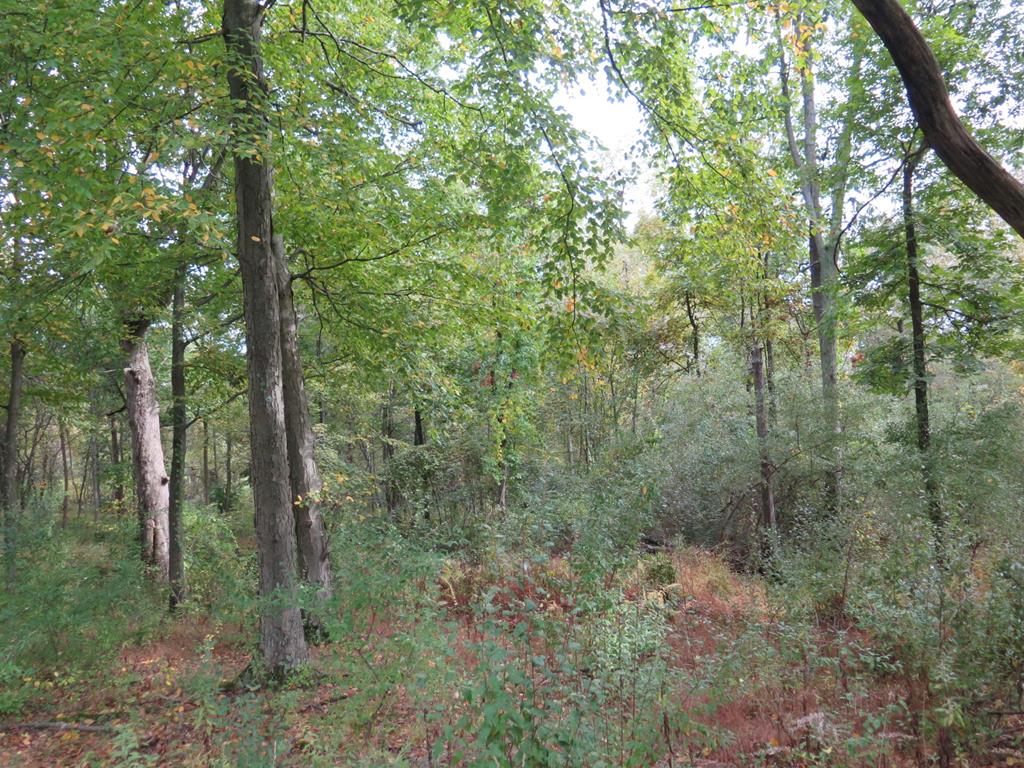 9582 Kyper Road Petersburg, PA 16669 - Photo 8 of 22 Gallery Image 8