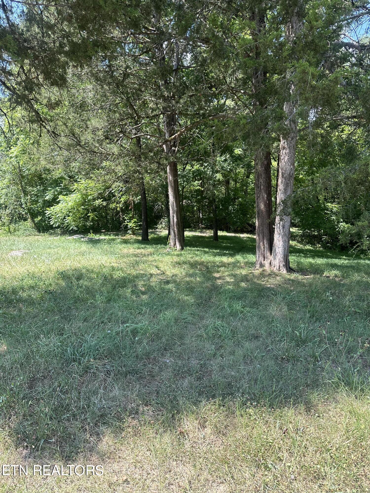 233 Dunville Gap Road Rutledge, TN 37861 - Photo 3 of 15 IMG_1298