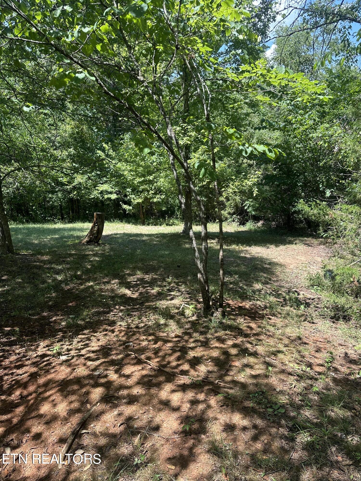 233 Dunville Gap Road Rutledge, TN 37861 - Photo 6 of 15 IMG_1293