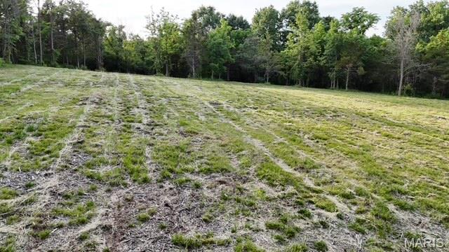 702 Salt Mill Road Chesterfield, MO 63017 - Photo 5 of 8