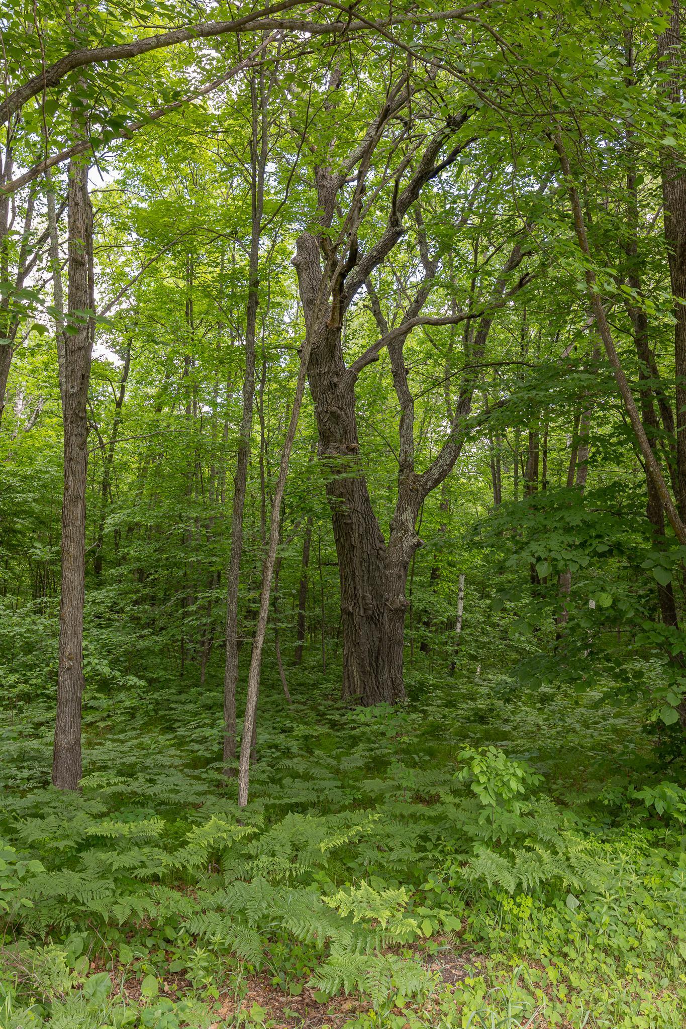 2251 Fahrenholz Road Northeast Longville, MN 56655 - Photo 58 of 62