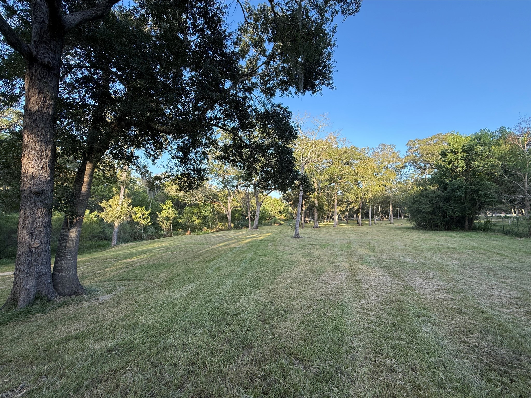 0 River Oaks Road Damon, TX 77430 - Photo 8 of 11 Gallery Image 8