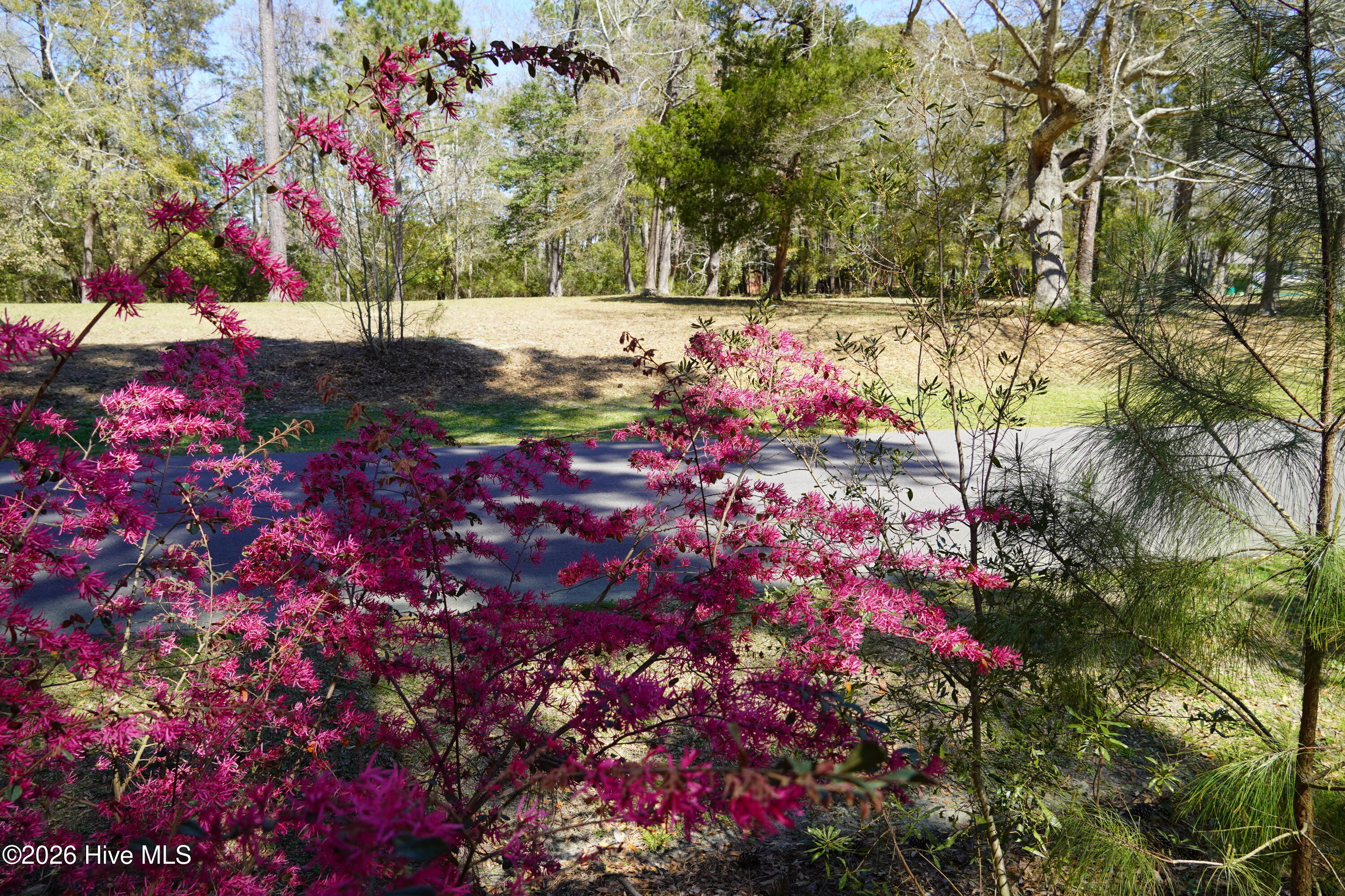 246 Genoe's Point Road Southwest Supply, NC 28462 - Photo 10 of 20 DSC00838