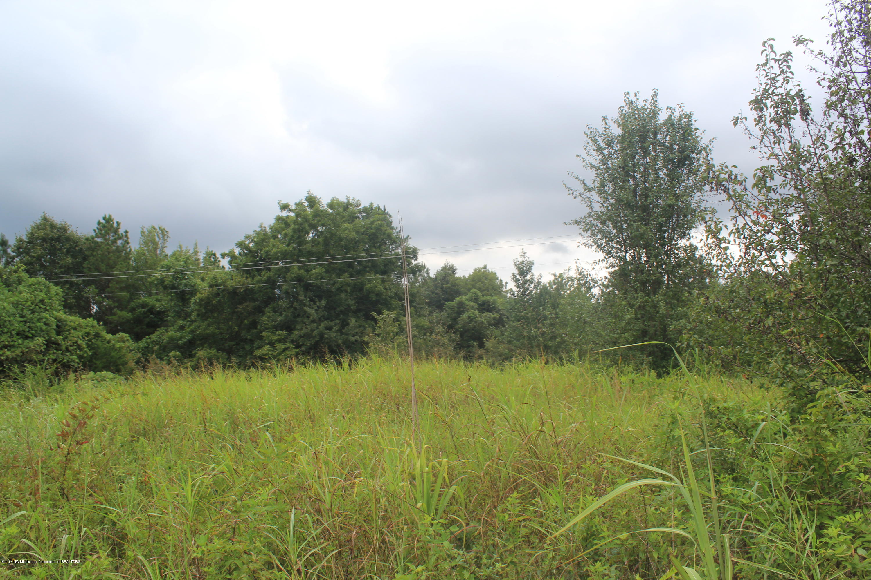 2 Wheeler Road Hernando, MS 38632 - Photo 16 of 19 016