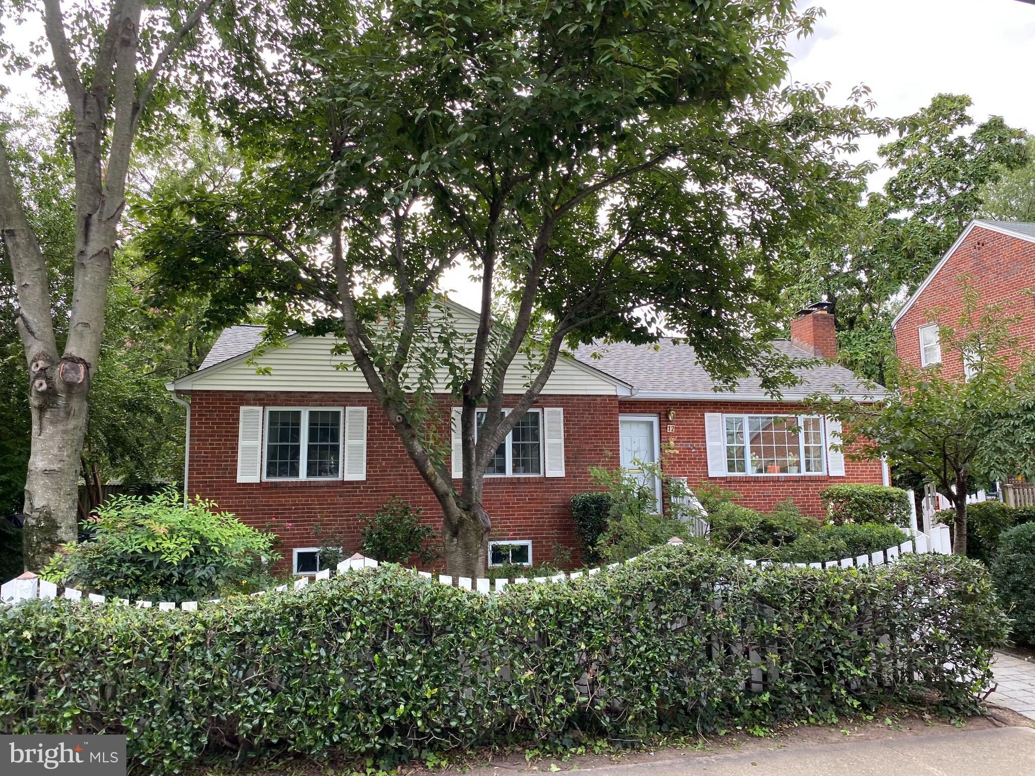 12 West Braddock Road Alexandria, VA 22301 - Photo 4 of 35 Nice yard, partially fenced & privacy landscaping