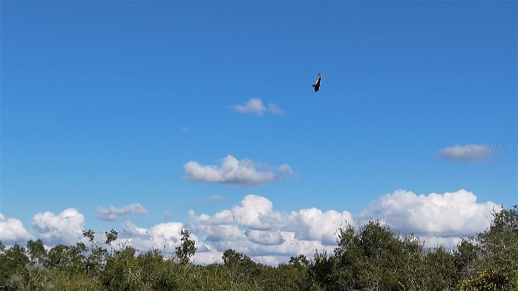 8735 Cr 631a Bushnell Bushnell, FL 33513 - Photo 14 of 17 a bathroom with a sink