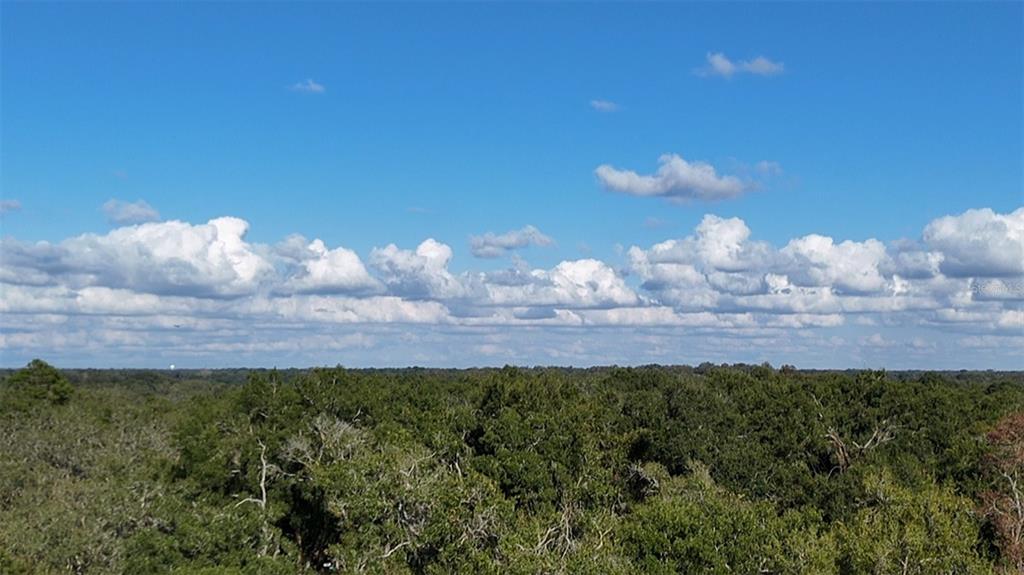 8735 Cr 631a Bushnell Bushnell, FL 33513 - Photo 15 of 17 a view of a house with a yard