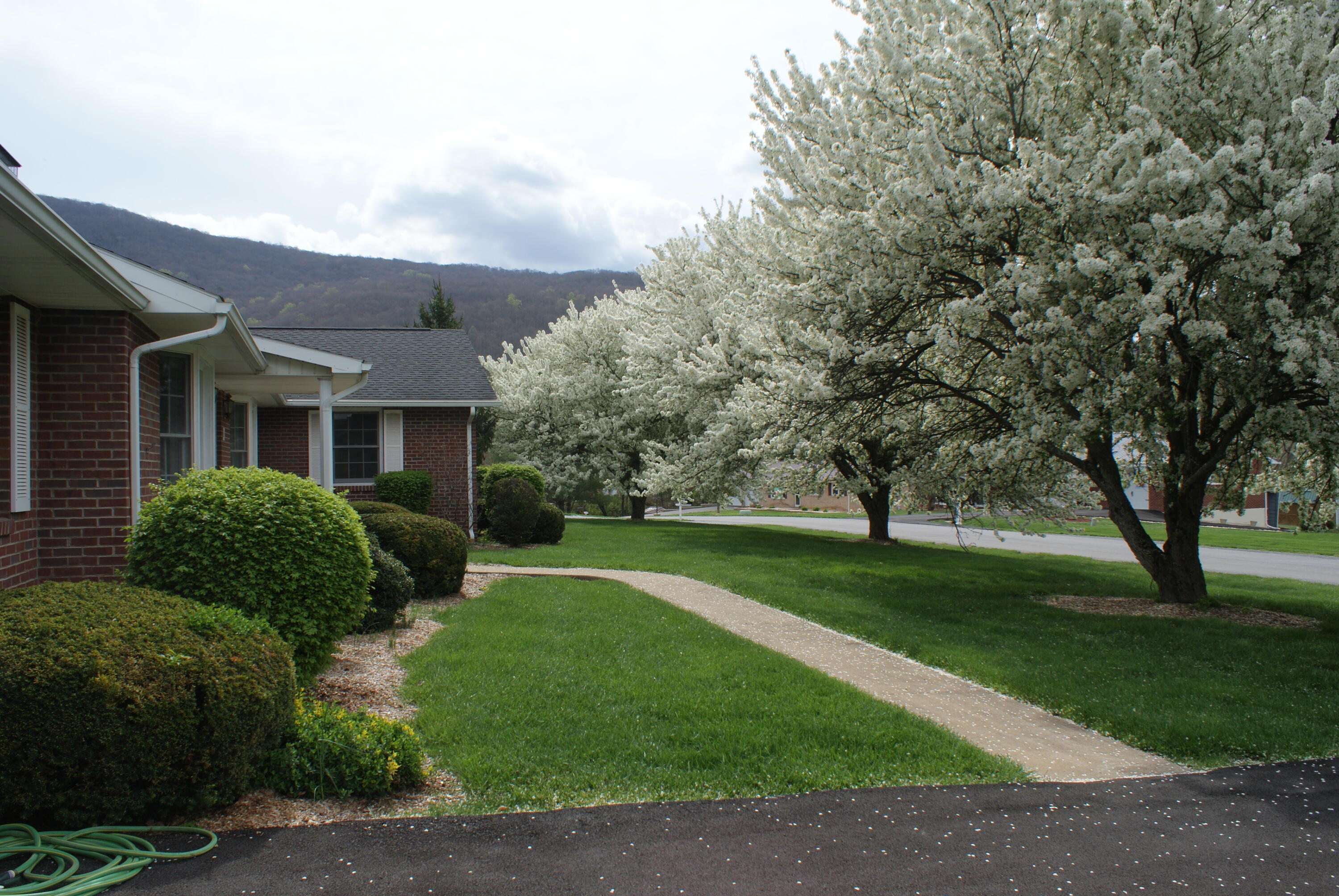 301 Sammys Road Covington, VA 24426 - Photo 5 of 32 DSC08871